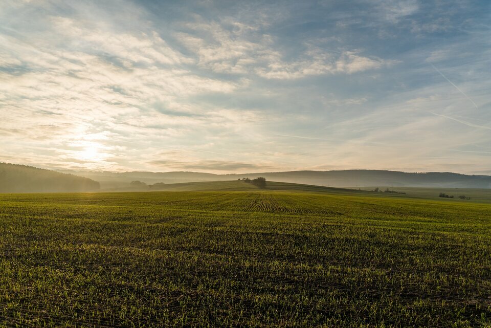 A vendre Terrain 7408m² Gironde-sur-Dropt