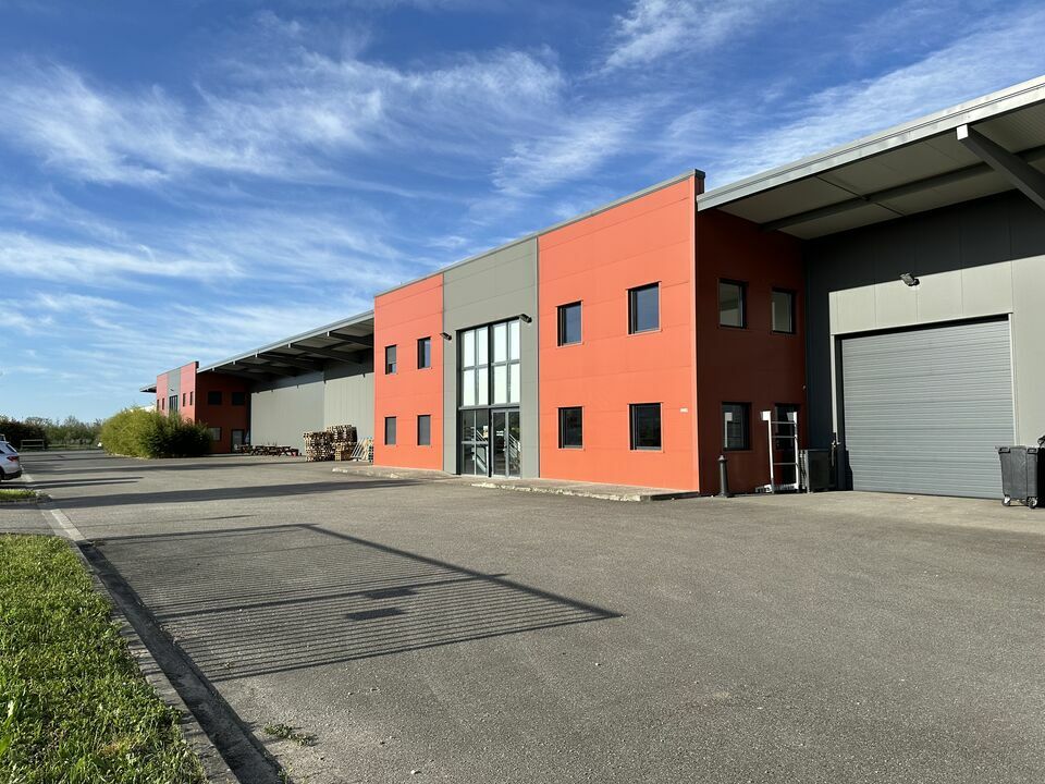 A LOUER LOCAL D'ACTIVITE 2 438 m² - (81600) GAILLAC