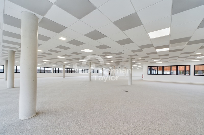 A louer - bureaux neufs 591m² - R+1